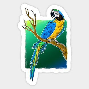 Ara Bird on square Sticker